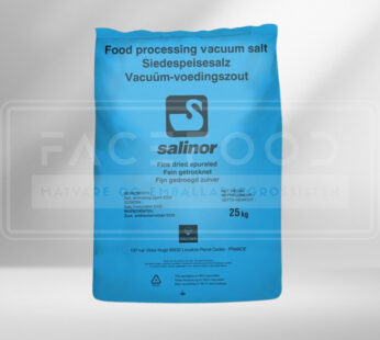 SALINOR Salt 25KG